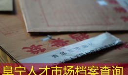 阜宁人才市场档案查询