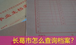 长葛市怎么查询档案？