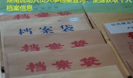 湖南流动人员人事档案查询：便捷获取个人档案信息