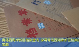 青岛西海岸新区档案查询_探寻青岛西海岸新区档案的宝藏
