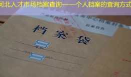 河北人才市场档案查询——个人档案的查询方式