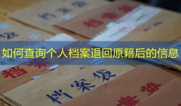 如何查询个人档案退回原籍后的信息