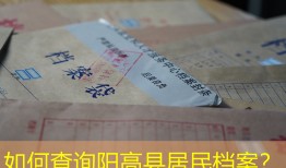 如何查询阳高县居民档案？