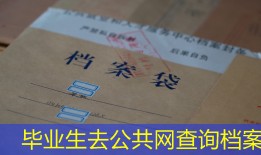 毕业生去公共网查询档案