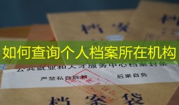 如何查询个人档案所在机构