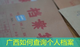 广西如何查询个人档案