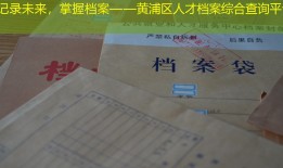 记录未来，掌握档案——黄浦区人才档案综合查询平台