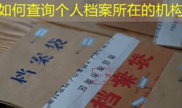 如何查询个人档案所在的机构