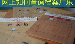 网上如何查询档案广东
