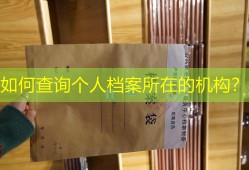 如何查询个人档案所在的机构？