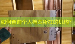 如何查询个人档案所在的机构？