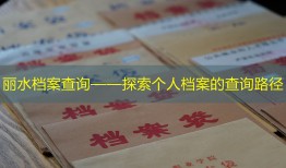 丽水档案查询——探索个人档案的查询路径