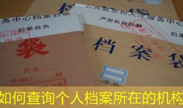 如何查询个人档案所在的机构
