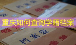 重庆如何查询学籍档案