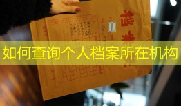 如何查询个人档案所在机构