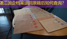 湛江国企档案退回原籍后如何查询？