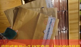 资阳成教毕业生档案查询，轻松愉悦呈现