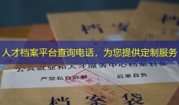 人才档案平台查询电话，为您提供定制服务