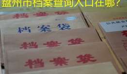 盘州市档案查询入口在哪？