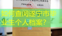 如何查阅遂宁市毕业生个人档案？