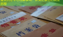 灌云人才中心档案查询：详实记录您的就业历程