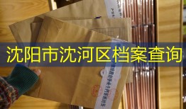 沈阳市沈河区档案查询