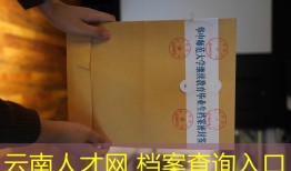 云南人才网 档案查询入口