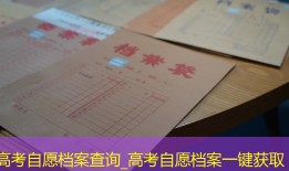高考自愿档案查询_高考自愿档案一键获取