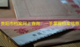 贵阳市档案网上查询：一手掌握档案信息