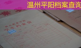 温州平阳档案查询