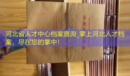 河北省人才中心档案查询_掌上河北人才档案，尽在您的掌中！