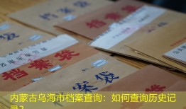 内蒙古乌海市档案查询：如何查询历史记录？