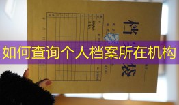 如何查询个人档案所在机构