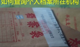 如何查询个人档案所在机构