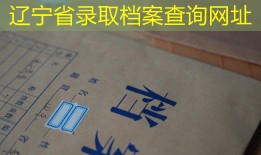 辽宁省录取档案查询网址