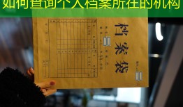 如何查询个人档案所在的机构