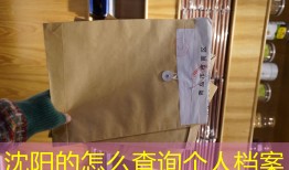沈阳的怎么查询个人档案