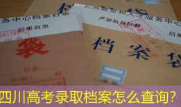 四川高考录取档案怎么查询？