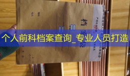 个人前科档案查询_专业人员打造