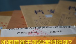 如何查询干部档案组织部？