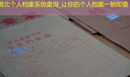湖北个人档案系统查询_让你的个人档案一触即查