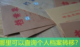 哪里可以查询个人档案转移？