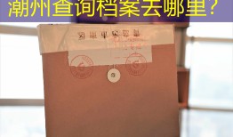 潮州查询档案去哪里？