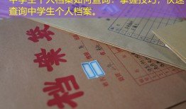 中学生个人档案如何查询：掌握技巧，快速查询中学生个人档案。