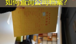 如何查询公司档案？