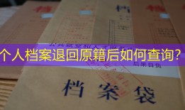 个人档案退回原籍后如何查询？