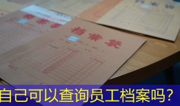 自己可以查询员工档案吗？