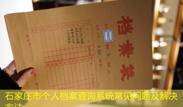 石家庄市个人档案查询系统常见问题及解决方法