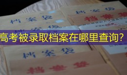 高考被录取档案在哪里查询？