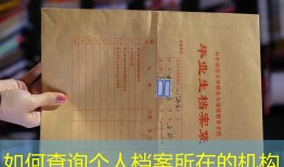 如何查询个人档案所在的机构
